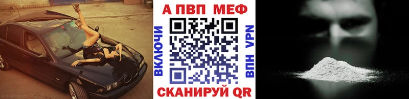 Альфа ПВП СК  Великие Луки 