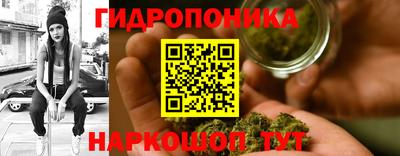 mix Бийск