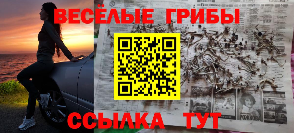 Галлюциногенные грибы MAGIC MUSHROOMS  где купить наркоту  Великие Луки  Вход с VPN 